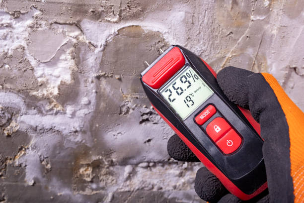 Best Mold Remediation for Schools in Three Lakes, FL