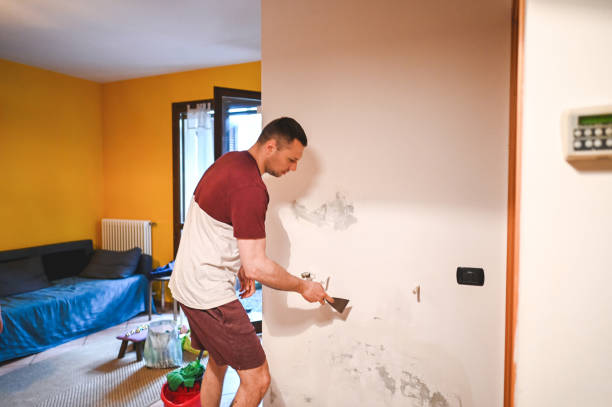 Best Bathroom Mold Remediation in Three Lakes, FL